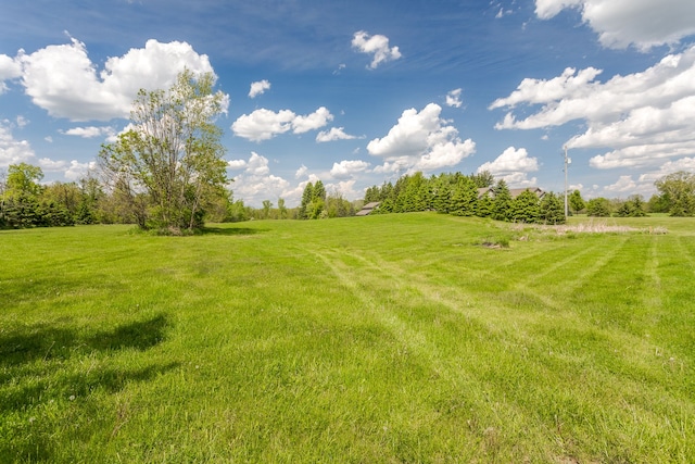 view of yard with a rural view