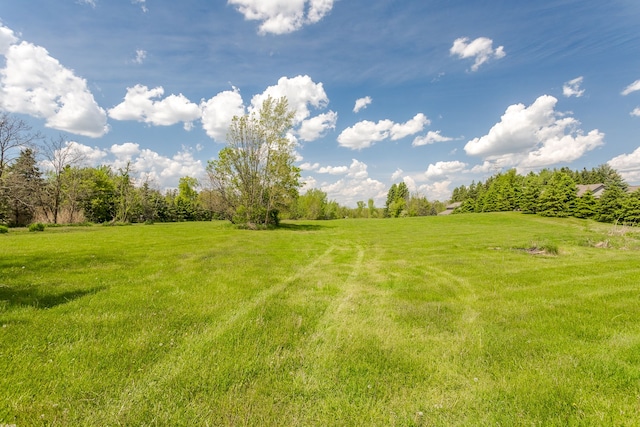 view of yard featuring a rural view