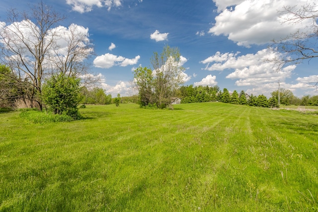 view of yard featuring a rural view