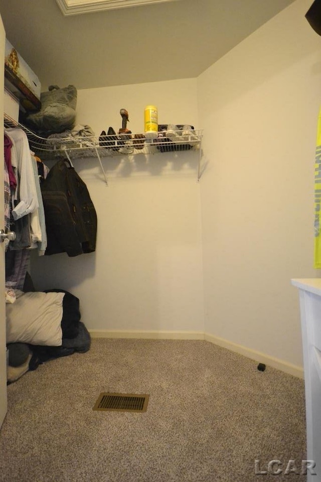 walk in closet featuring carpet flooring