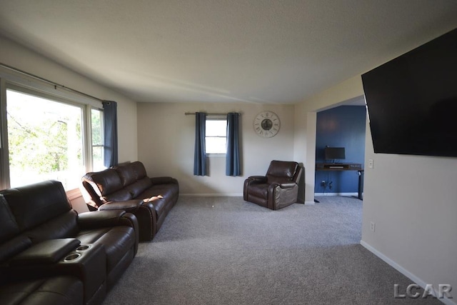 living room with a wealth of natural light and carpet floors