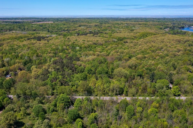 2908 62nd St, Fennville, MI 49408 - photo 26