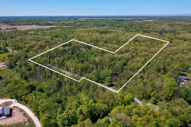 2908 62nd St, Fennville, MI 49408 - photo 2