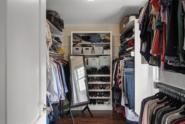 spacious closet with dark wood-type flooring