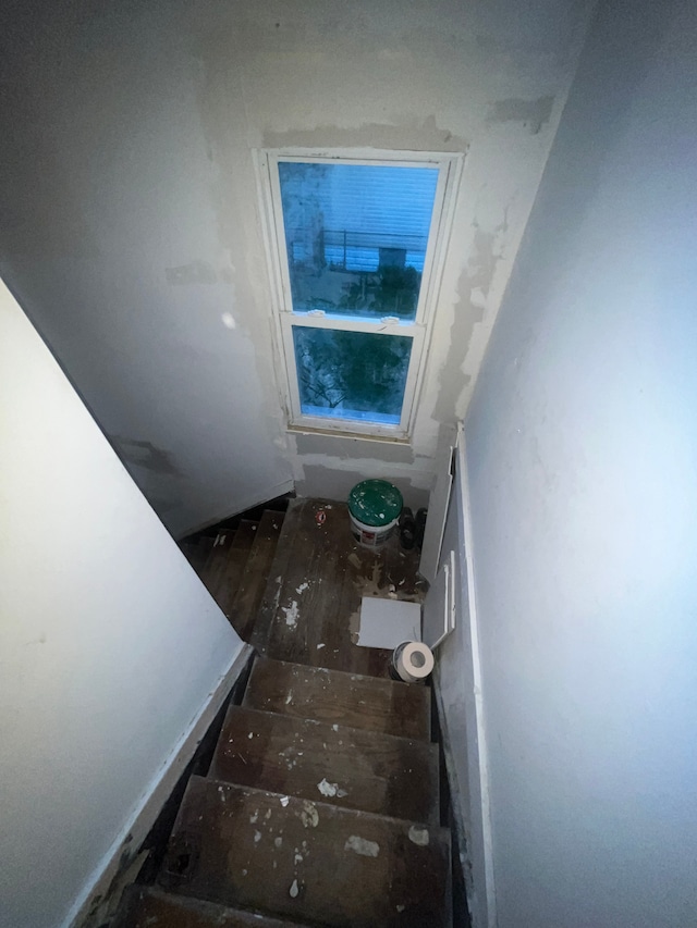 staircase with wood finished floors