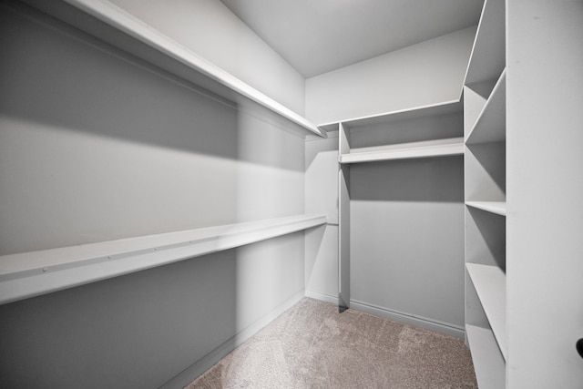 spacious closet with carpet flooring