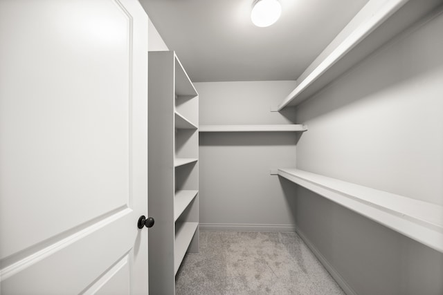 spacious closet with light carpet