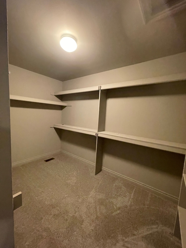 walk in closet featuring carpet