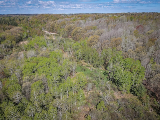2314 Revolt Rd, Manistee, MI 49660 - aerial view of a forest