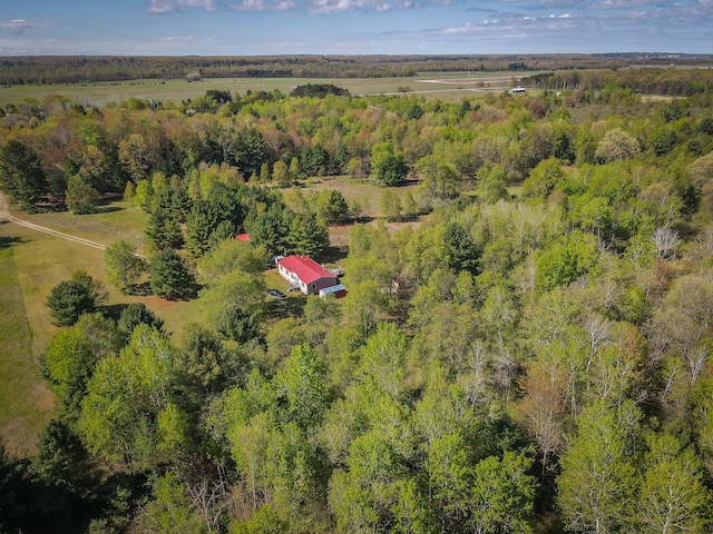 aerial view