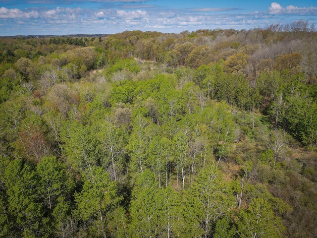 2314 Revolt Rd, Manistee, MI 49660 - bird's eye view of a heavily wooded area