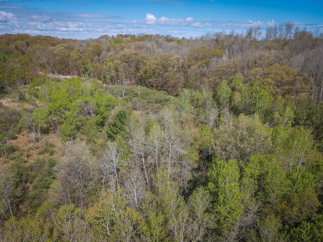 2314 Revolt Rd, Manistee, MI 49660 - drone / aerial view of a heavily wooded area