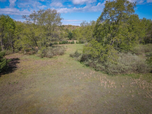 2314 Revolt Rd, Manistee, MI 49660 - view of woods