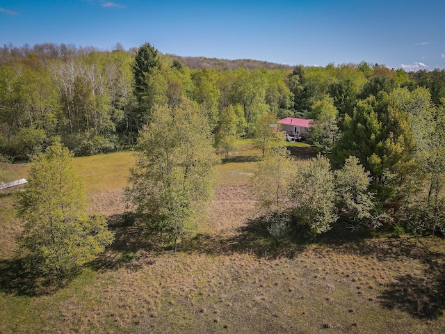 2314 Revolt Rd, Manistee, MI 49660 - aerial view of property and surrounding area with a heavily wooded area