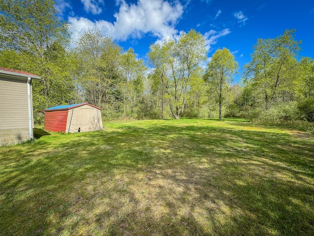 2314 Revolt Rd, Manistee, MI 49660 - view of green lawn featuring a view of trees