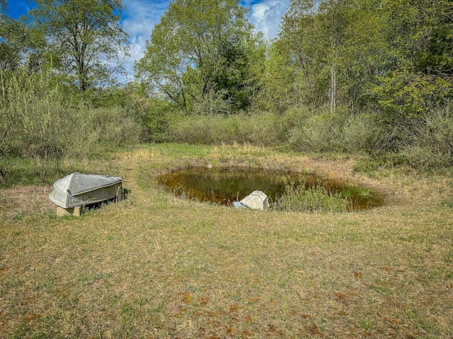 2314 Revolt Rd, Manistee, MI 49660 - view of yard
