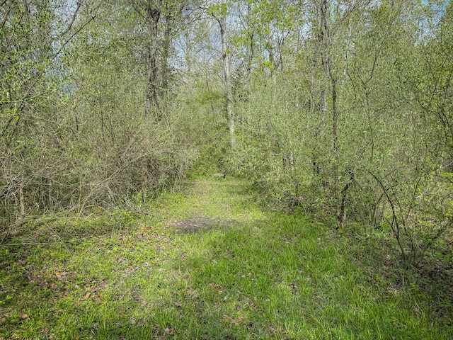 2314 Revolt Rd, Manistee, MI 49660 - view of wooded area