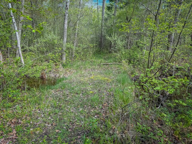 2314 Revolt Rd, Manistee, MI 49660 - view of wooded area