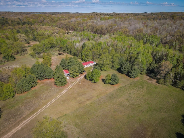 bird's eye view