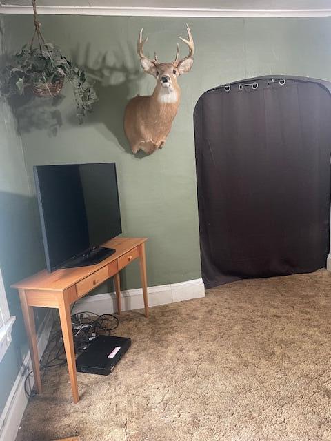 office area featuring carpet flooring