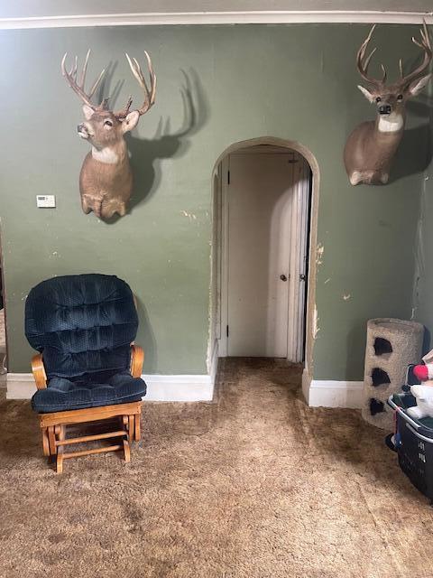 621 E Michigan Ave, Grass Lake, MI 49240 - living area featuring carpet, arched walkways, and baseboards