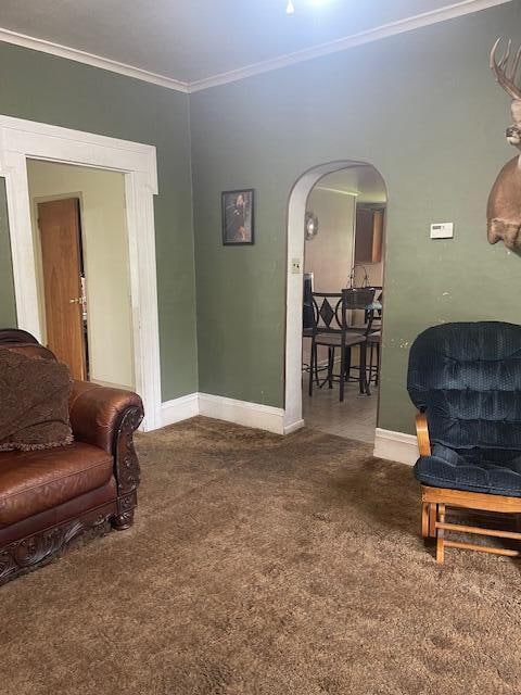 sitting room featuring carpet floors and crown molding