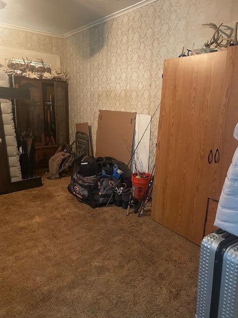 miscellaneous room with carpet and ornamental molding