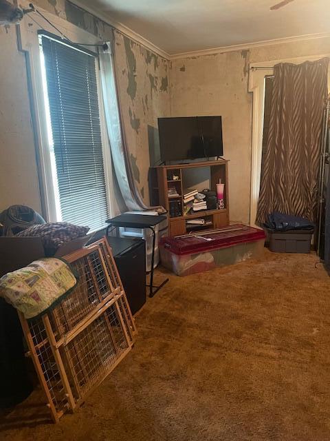 621 E Michigan Ave, Grass Lake, MI 49240 - living area featuring carpet flooring and ornamental molding