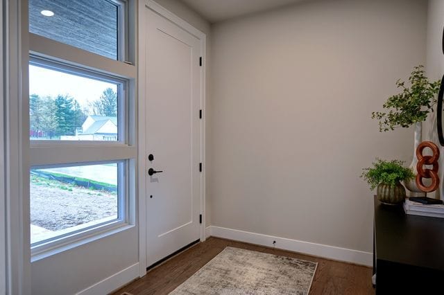 doorway to outside with plenty of natural light and dark hardwood / wood-style floors