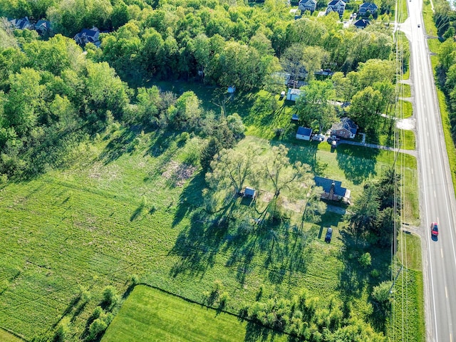 bird's eye view