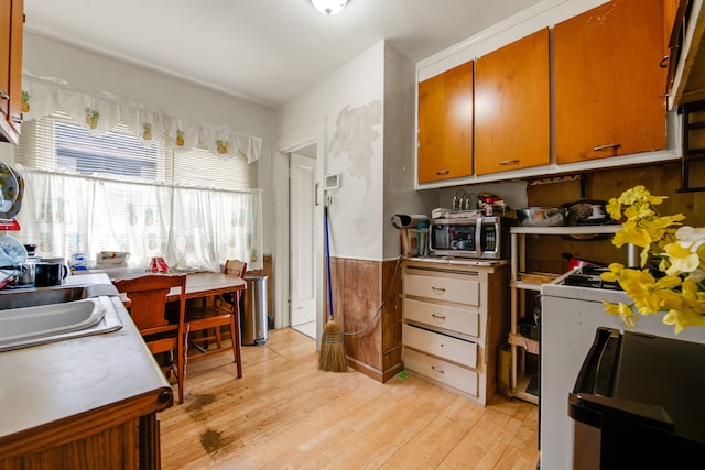 kitchen with light wood-type flooring and sink