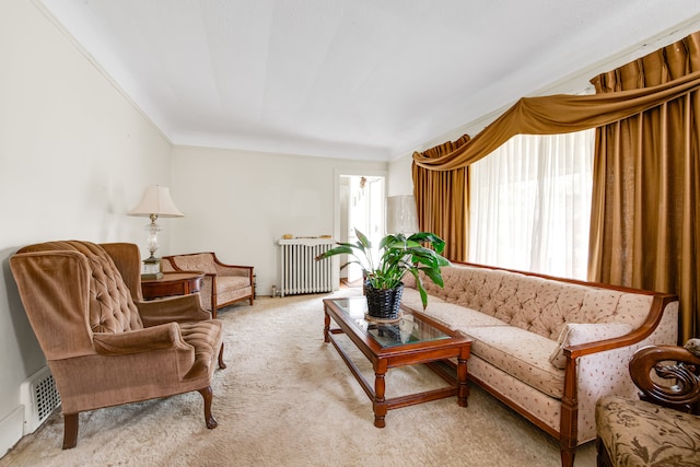 carpeted living room featuring radiator and crown molding