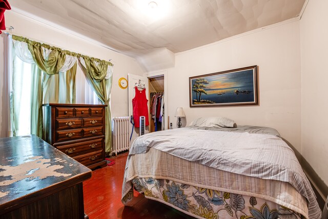 bedroom featuring dark wood-type flooring, crown molding, a spacious closet, radiator heating unit, and a closet