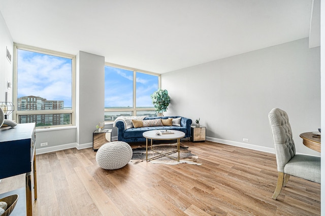 living room featuring expansive windows and light wood-type flooring