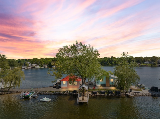 property view of water featuring a dock