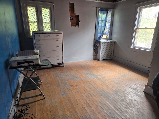 misc room with plenty of natural light, light hardwood / wood-style floors, and radiator