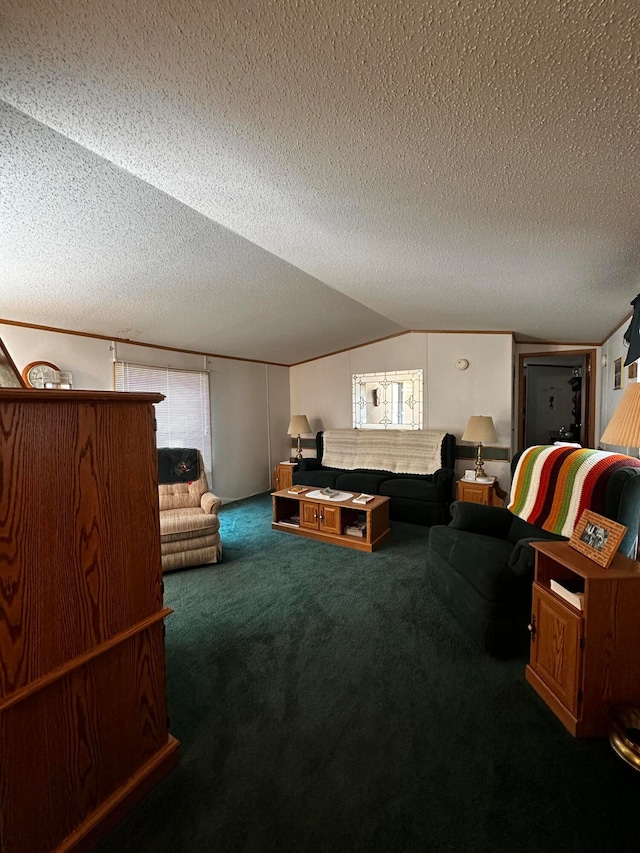 interior space featuring vaulted ceiling, carpet flooring, and a textured ceiling