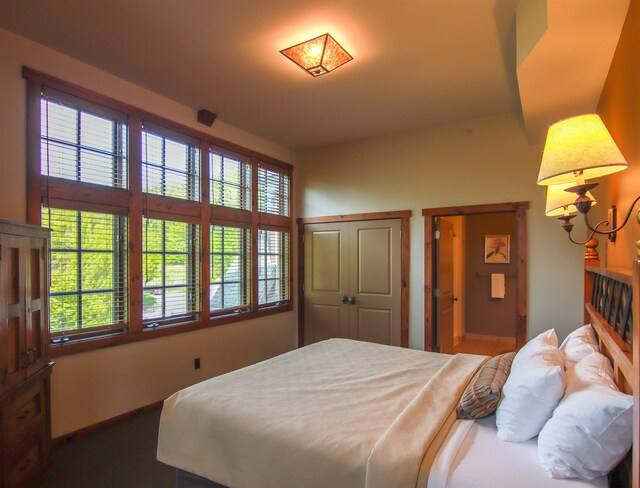 12328-UNIT335B Crystal Mountain Dr, Thompsonville, MI 49683 - view of bedroom