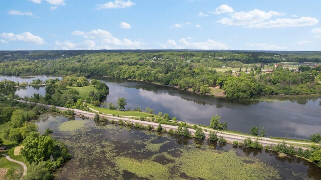 3586 E Huron River Dr, Ann Arbor, MI 48104 - aerial overview of property's location with a heavily wooded area and a nearby body of water