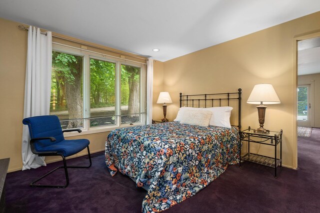 3586 E Huron River Dr, Ann Arbor, MI 48104 - carpeted bedroom featuring baseboards and recessed lighting