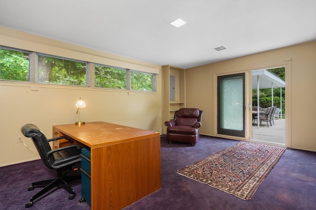 carpeted home office featuring a wealth of natural light