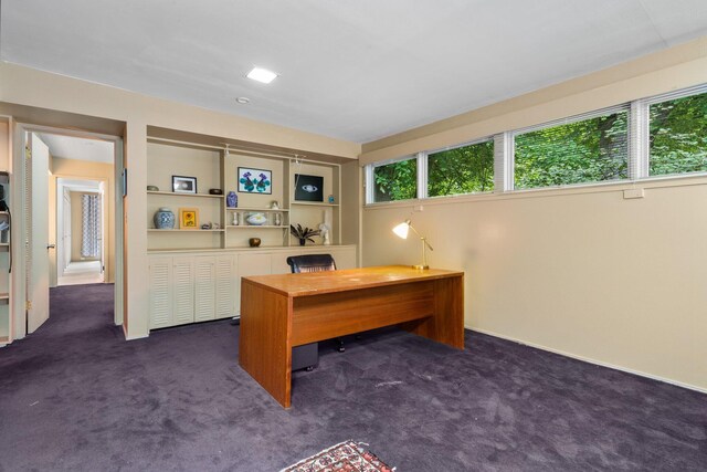 3586 E Huron River Dr, Ann Arbor, MI 48104 - office space with dark carpet