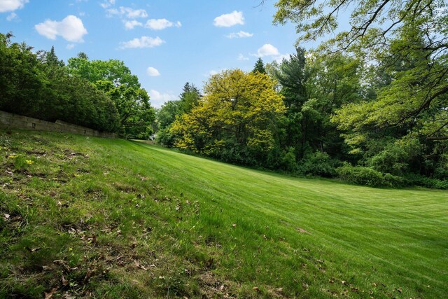 3586 E Huron River Dr, Ann Arbor, MI 48104 - view of green lawn with a forest view