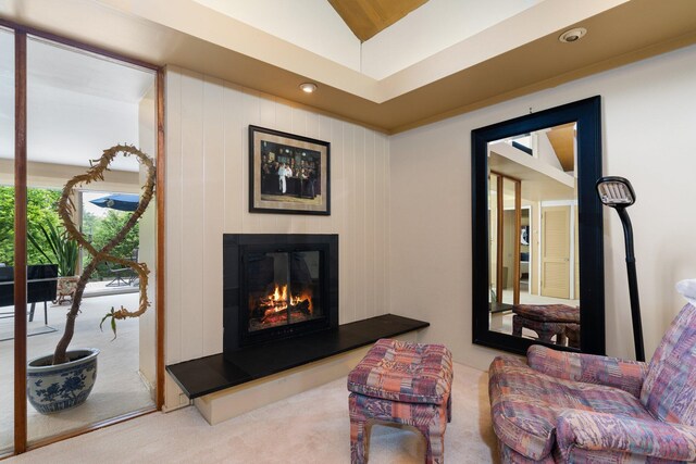 3586 E Huron River Dr, Ann Arbor, MI 48104 - living room with carpet flooring, a glass covered fireplace, lofted ceiling, and recessed lighting