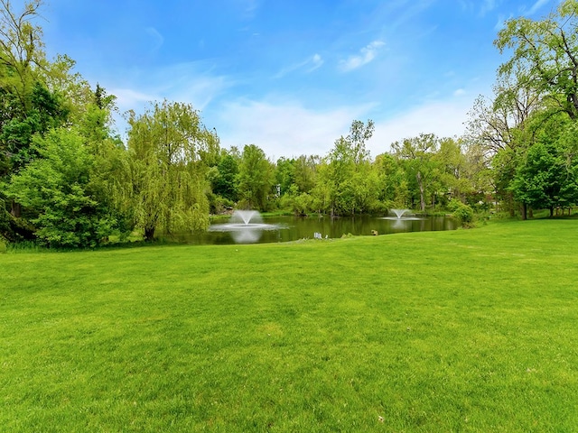 view of yard with a water view