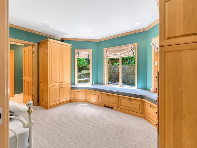 interior space featuring crown molding