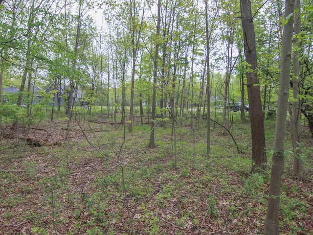 000-UNIT3 Ledgewood Ravine Trl, Fenton, MI 48430