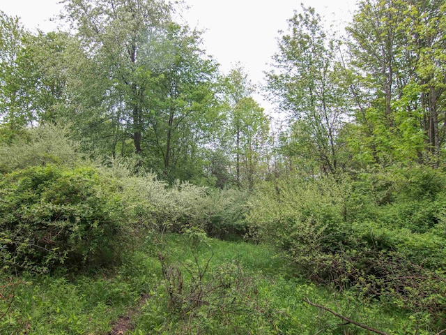 000-UNIT3 Ledgewood Ravine Trl, Fenton, MI 48430
