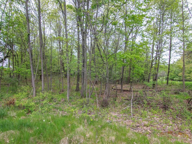 000-UNIT3 Ledgewood Ravine Trl, Fenton, MI 48430