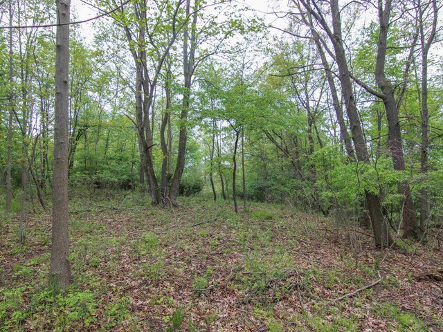 000-UNIT3 Ledgewood Ravine Trl, Fenton, MI 48430
